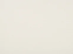 Beliani Aurinkotuoli Tumma Akaasia Vaihtokankaat Luonnonvalkoinen/Sininen Palmunlehdet 2 Kpl Anzio Best