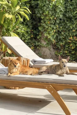 Beliani Aurinkotuolin Tyynyt Beige Cesana Sale