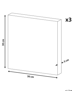 Beliani Canvas-Taulu Monivarinen 30 X 30 Cm 3 Kpl Setti Menaka Best Sale