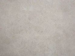 Beliani Elainjakkara Keinonahka Säilytystila Vaaleanharmaa 60 X 32 Cm Rhino Hot