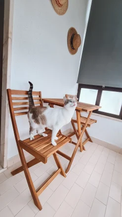 Beliani 2-Istuttava Bistrosetti Akaasia Vaalea Puu/Sininen Fiji Best