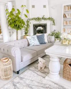 Beliani 3-Istuttava Sohva Kangas Vaaleanharmaa Chesterfield Store