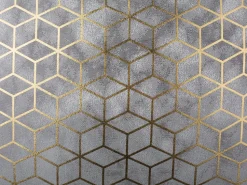 Beliani Koristetyyny Hopea 45 X 45 Cm 2 Kpl Camellia Shop