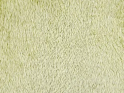 Beliani Koristetyyny Kangas Vaaleanvihrea 45 X 45 Cm 2 Kpl Pilea Outlet