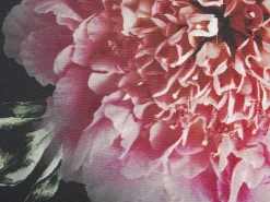 Beliani Koristetyyny 2Kpl Setti 45 X 45 Cm Monivarinen Hedera Best