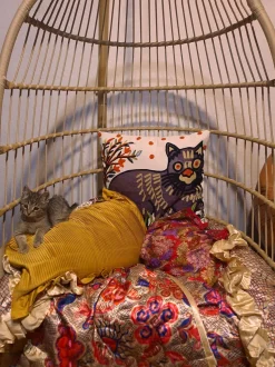 Beliani Koristetyyny Puuvilla Monivarinen Kirjailtu 50 X 50 Cm 2 Kpl Phusro Hot