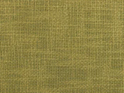 Beliani Koristetyyny Puuvilla Oliivinvihrea 45 X 45 Cm 2 Kpl Lynchis Store