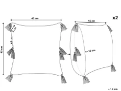 Beliani Koristetyyny Puuvilla Oranssi Tuftattu 45 X 45 Cm 2 Kpl Avium Best Sale