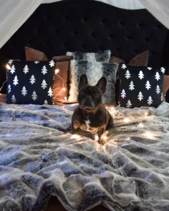 Beliani Koristetyyny 45X45 Cm 2 Kpl Musta Cupid Cheap