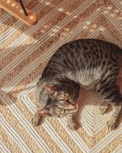 Beliani Matto Juutti Beige 140 X 200 Cm Pirli New