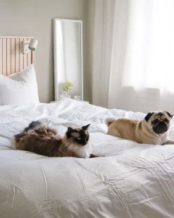 Beliani Pussilakanasetti Satiinipuuvillaa 240 X 220 Cm Valkoinen Avondale Flash Sale