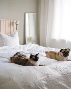 Beliani Pussilakanasetti Satiinipuuvillaa 135 X 200 Cm Beige Avondale New