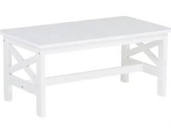 Beliani Puutarhapoyta Akaasia Valkoinen 100 X 55 Cm Baltic Online