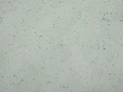 Beliani Puutarhapoyta Lasitasolla Kirkas 180 X 90 Cm Grosseto Cheap