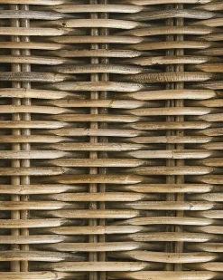 Beliani Puutarhatuoli Rottinki Luonnonvari Susua Best