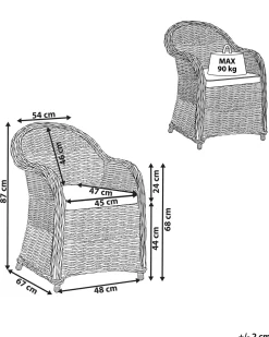 Beliani Puutarhatuoli Rottinki Luonnonvari Susua Best