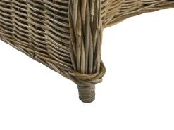 Beliani Puutarhatuoli Rottinki Luonnonvari Susua Best