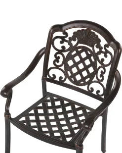 Beliani Puutarhatuolit Tummanruskeat, Alumiinia, 4Kpl Setti Salento Online