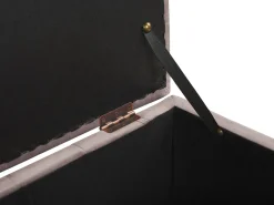 Beliani Rahi Sametti Säilytystila Vaaleanpunainen 72 X 42 Cm Michigan Best