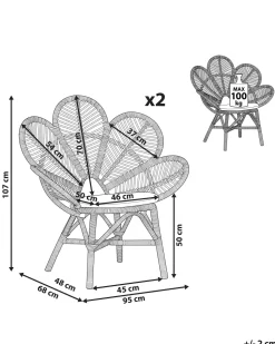 Beliani Riikinkukkotuoli Rottinki Luonnonvari 2 Kpl Florentine Best