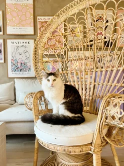 Beliani Riikinkukkotuoli Rottinki Luonnonvari Emmanuelle Hot