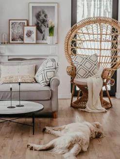 Beliani Riikinkukkotuoli Rottinki Luonnonvari Emmanuelle Hot