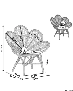 Beliani Riikinkukkotuoli Rottinki Luonnonvari Florentine Best