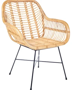 Beliani Rottinkituoli Luonnonvari Canora Best