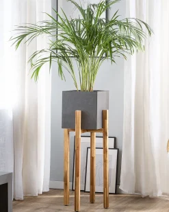 Beliani Rottinkituoli Luonnonvari Canora Best