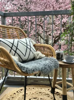 Beliani Rottinkituoli Luonnonvari Canora Best