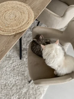 Beliani Ruokapoyta Vaalea Puu/Musta 140 X 80 Cm Spectra Best Sale