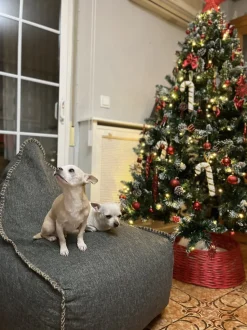 Beliani Sakkituoli Selkanojalla Kangas Vaaleanharmaa Drop Best