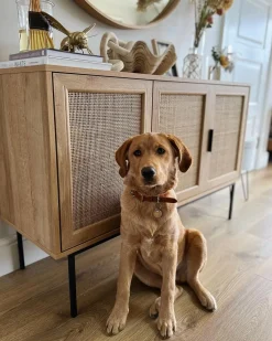 Beliani Senkki 3 Ovea 4 Hyllya Vaalea Puu Pasco Cheap