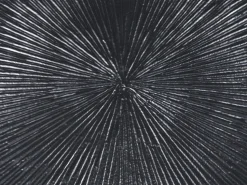 Beliani Sivupoyta Alumiini Musta Eucla Online