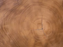 Beliani Sivupoyta Tiikki Vaalea Puu/Musta Elsa Fashion