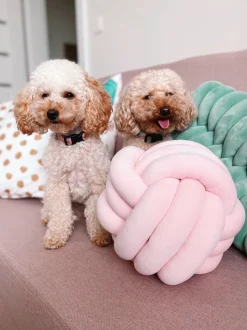 Beliani Solmutyyny 45 X 25 Cm Vihrea Panara Clearance