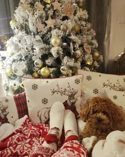 Beliani Torkkupeitto Kangas Punainen/Valkoinen 150 X 200 Cm Vantaa Fashion